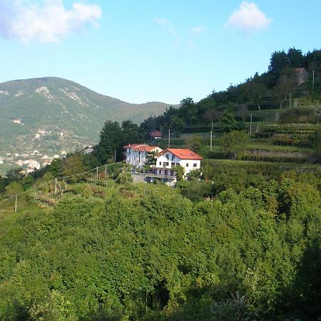 阿杰罗拉Agriturismo Il Castagno别墅 外观 照片