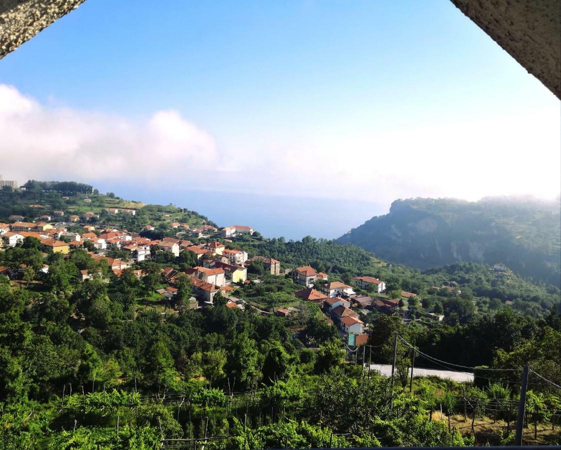 阿杰罗拉Agriturismo Il Castagno别墅 外观 照片