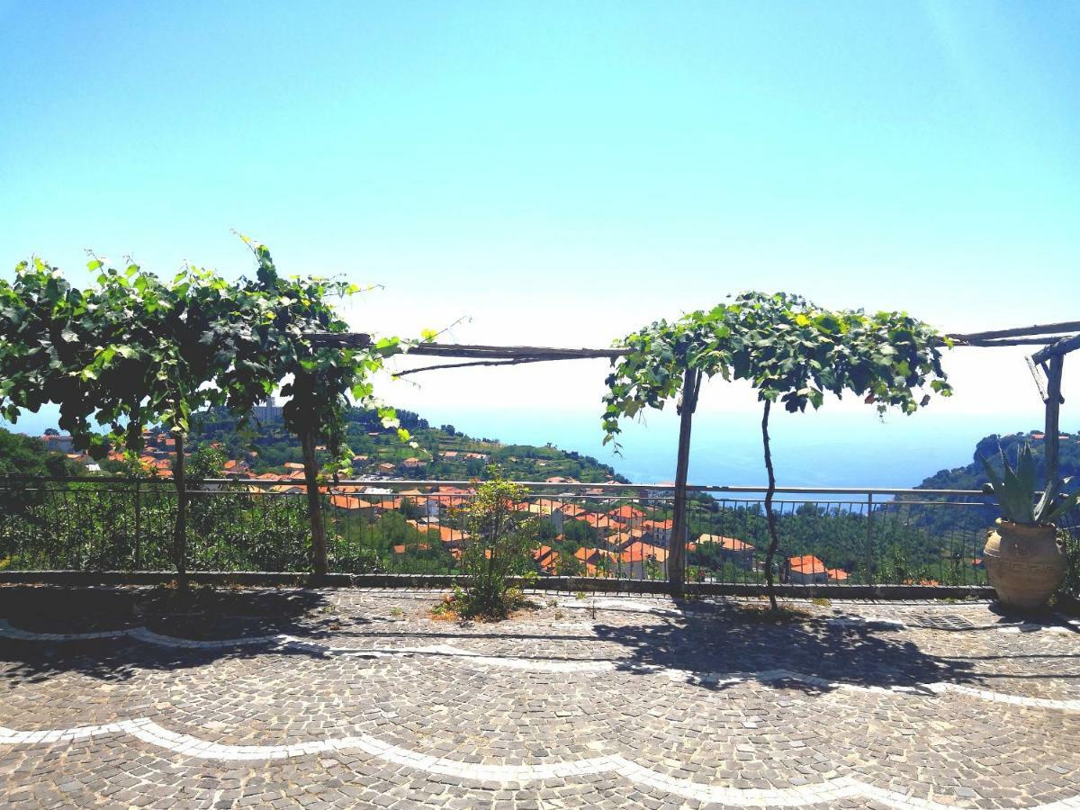 阿杰罗拉Agriturismo Il Castagno别墅 外观 照片