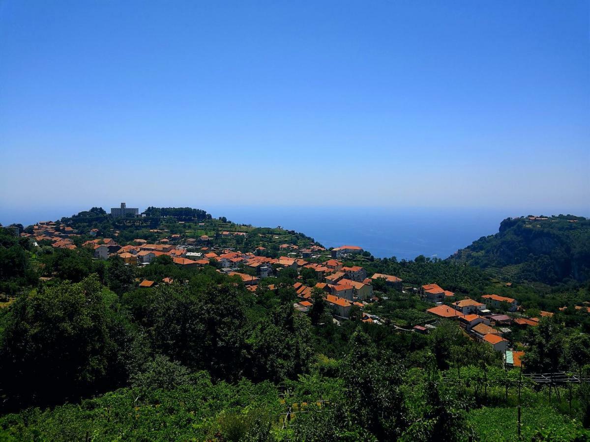 阿杰罗拉Agriturismo Il Castagno别墅 外观 照片