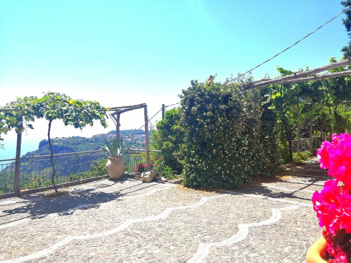 阿杰罗拉Agriturismo Il Castagno别墅 外观 照片
