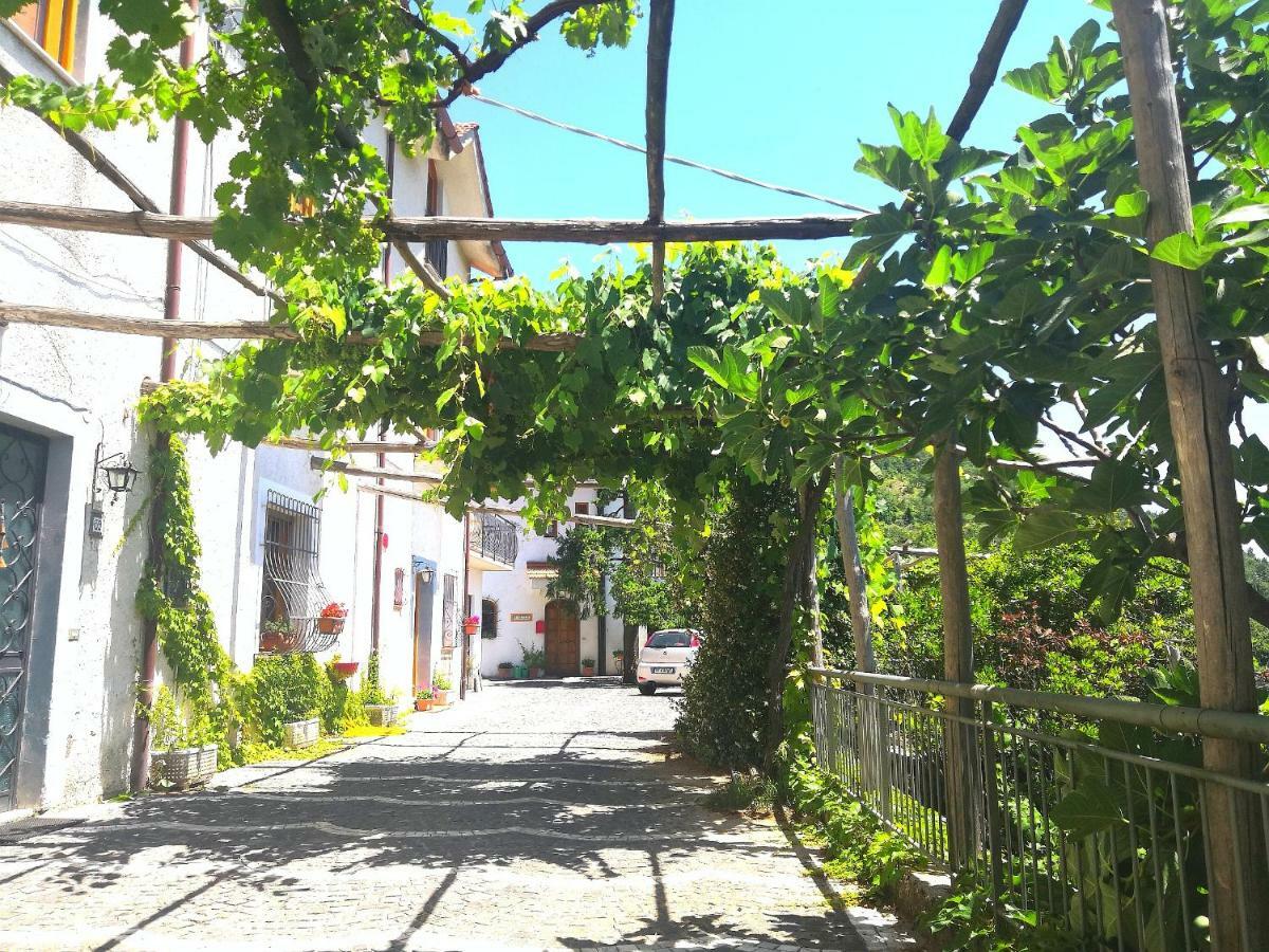 阿杰罗拉Agriturismo Il Castagno别墅 外观 照片