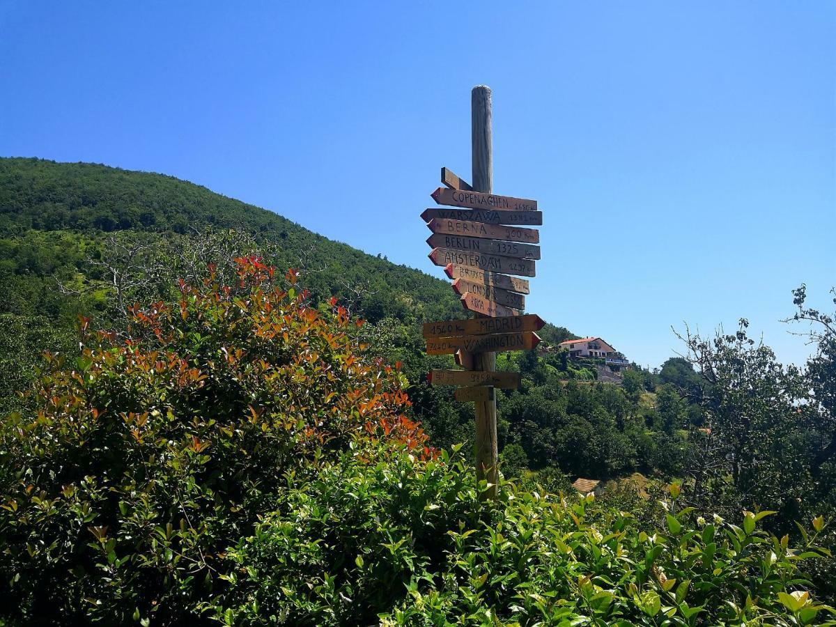 阿杰罗拉Agriturismo Il Castagno别墅 外观 照片