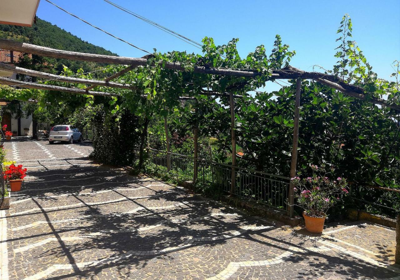 阿杰罗拉Agriturismo Il Castagno别墅 外观 照片