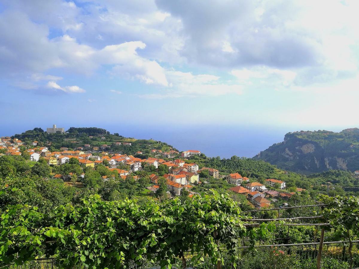 阿杰罗拉Agriturismo Il Castagno别墅 外观 照片