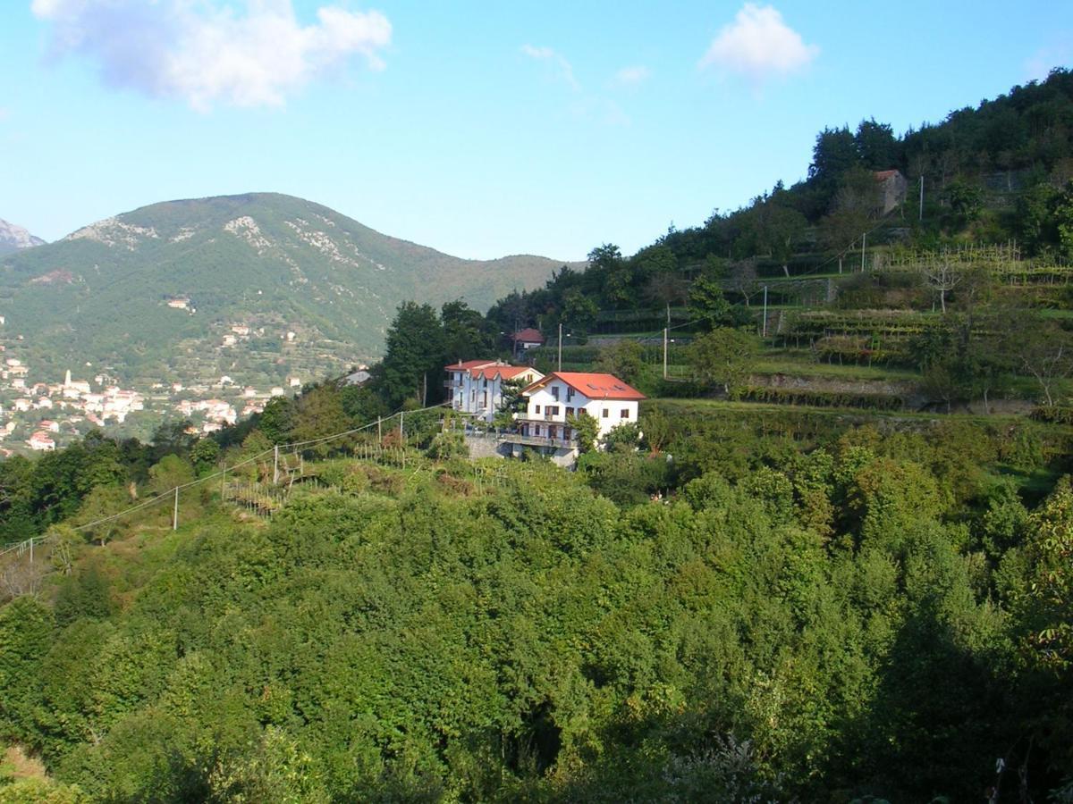 阿杰罗拉Agriturismo Il Castagno别墅 外观 照片